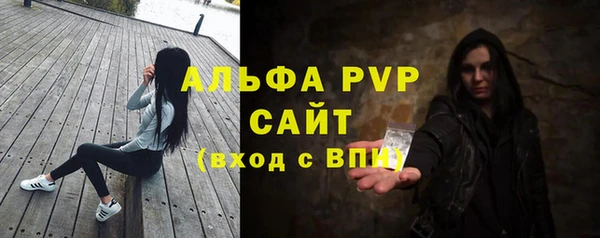 дмт Снежногорск