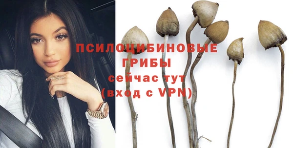 твердый Слюдянка